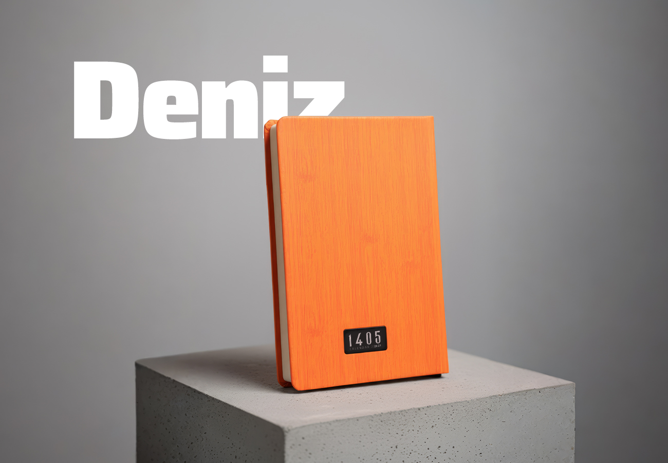 DENIZ-1 copy