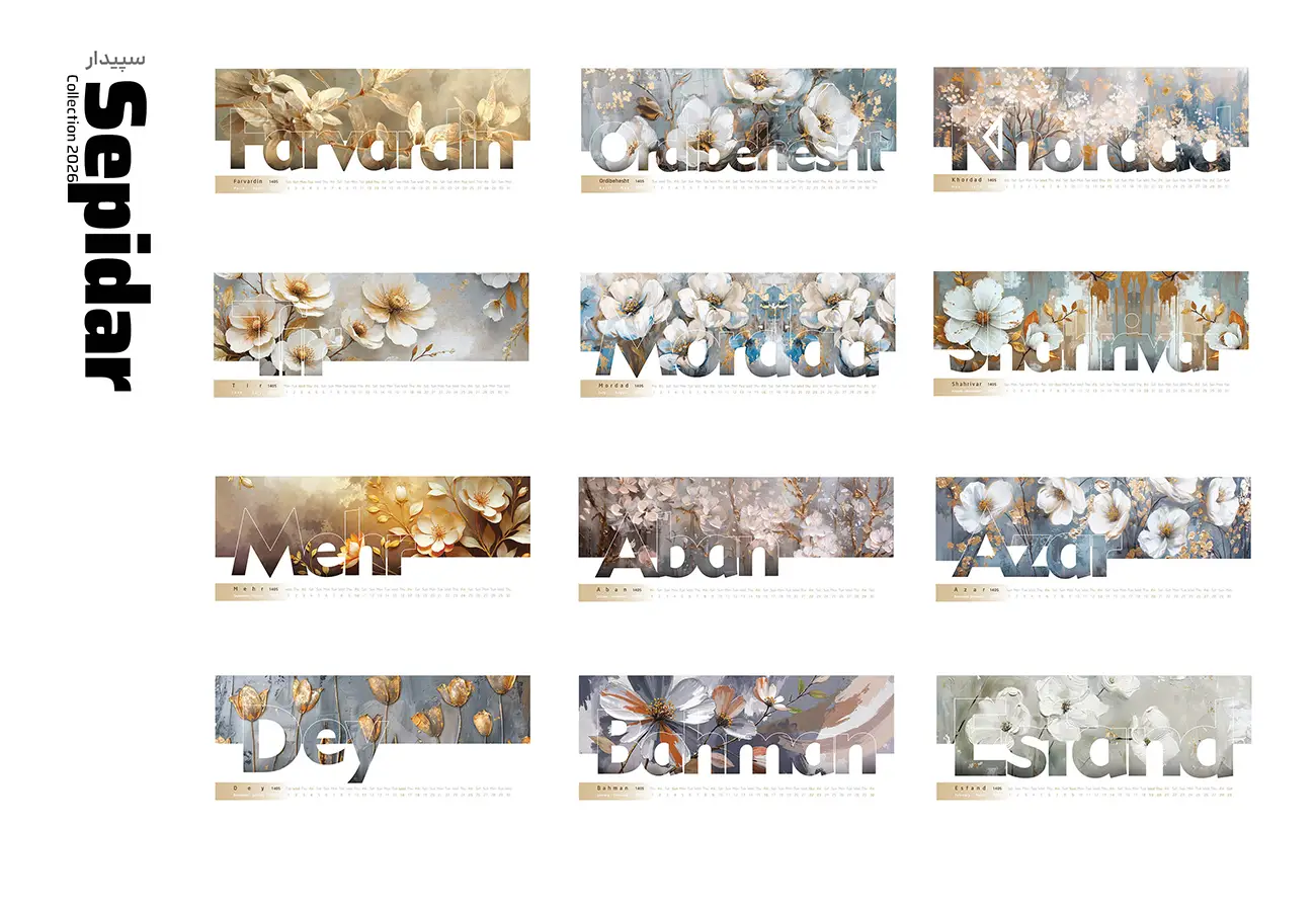 SEPIDAR-3_result